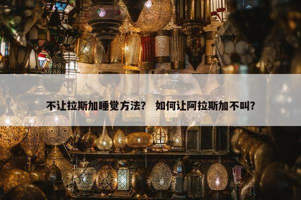 不让拉斯加睡觉方法？ 如何让阿拉斯加不叫？