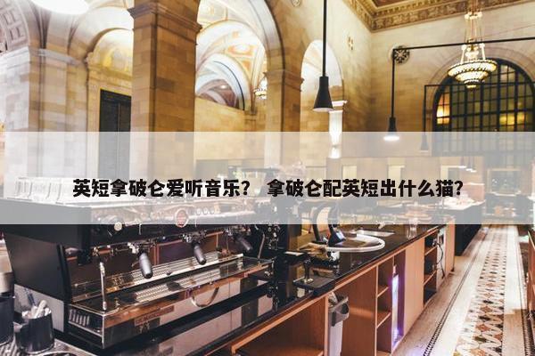 英短拿破仑爱听音乐？ 拿破仑配英短出什么猫？