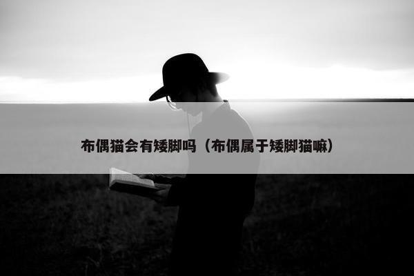布偶猫会有矮脚吗（布偶属于矮脚猫嘛）
