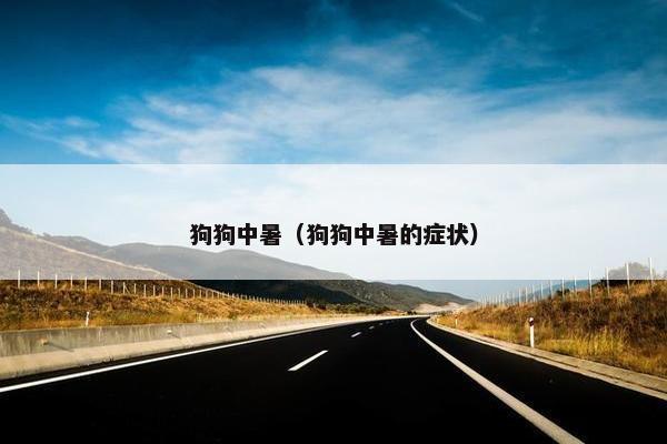 狗狗中暑（狗狗中暑的症状）