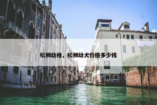 松狮幼稚，松狮幼犬价格多少钱
