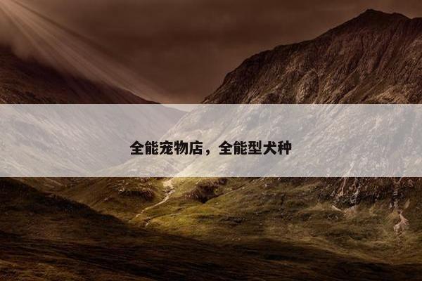 全能宠物店，全能型犬种