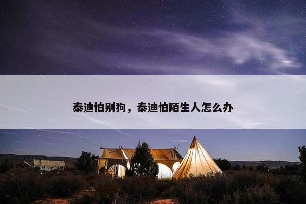 泰迪怕别狗，泰迪怕陌生人怎么办