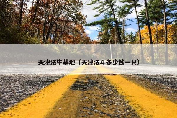 天津法牛基地（天津法斗多少钱一只）