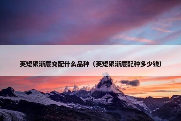 英短银渐层交配什么品种（英短银渐层配种多少钱）