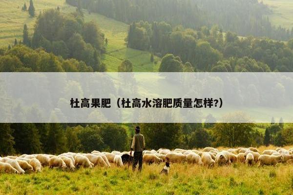 杜高果肥（杜高水溶肥质量怎样?）