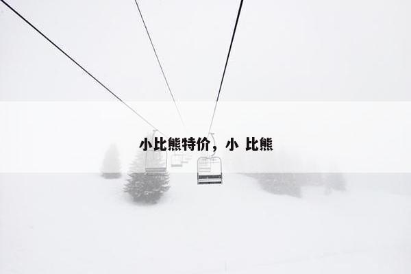 小比熊特价，小 比熊