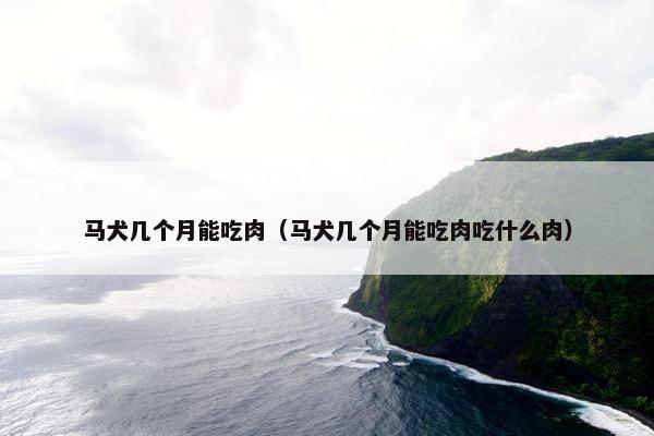 马犬几个月能吃肉（马犬几个月能吃肉吃什么肉）
