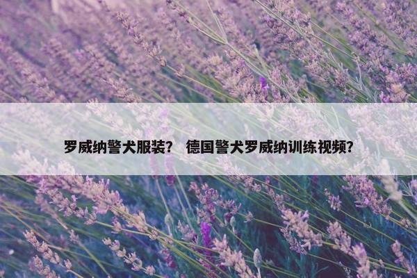 罗威纳警犬服装？ 德国警犬罗威纳训练视频？
