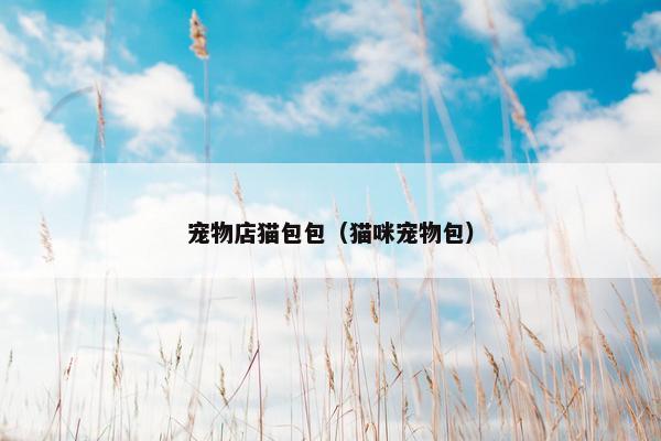宠物店猫包包（猫咪宠物包）