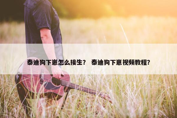 泰迪狗下崽怎么接生？ 泰迪狗下崽视频教程？