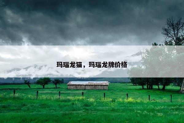 玛瑙龙猫，玛瑙龙牌价格