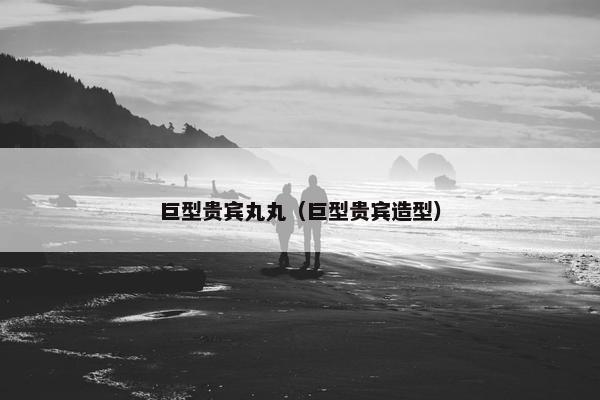 巨型贵宾丸丸（巨型贵宾造型）