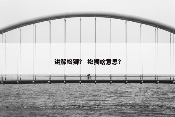 讲解松狮？ 松狮啥意思？