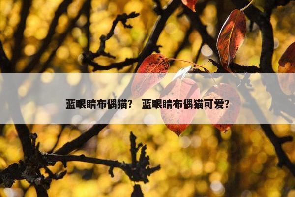 蓝眼睛布偶猫？ 蓝眼睛布偶猫可爱？