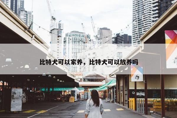 比特犬可以家养，比特犬可以放养吗