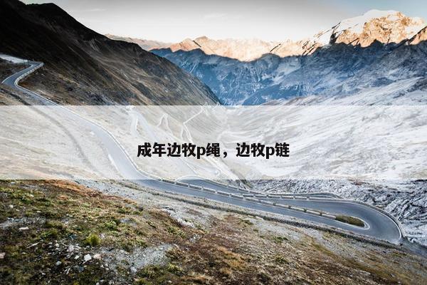 成年边牧p绳，边牧p链
