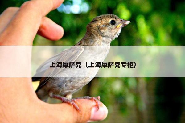 上海摩萨克（上海摩萨克专柜）