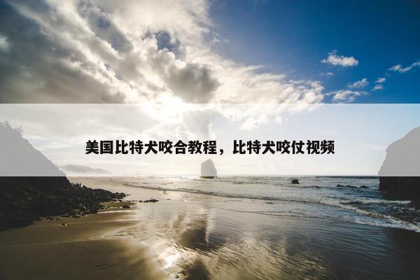 美国比特犬咬合教程，比特犬咬仗视频