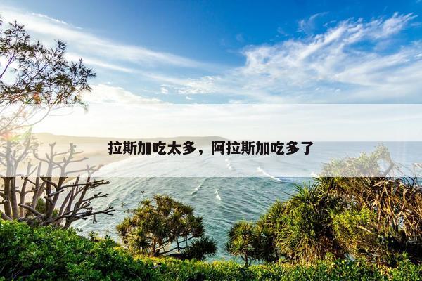 拉斯加吃太多，阿拉斯加吃多了