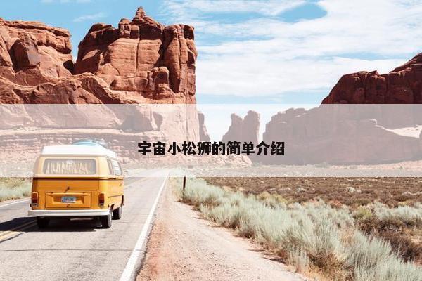 宇宙小松狮的简单介绍