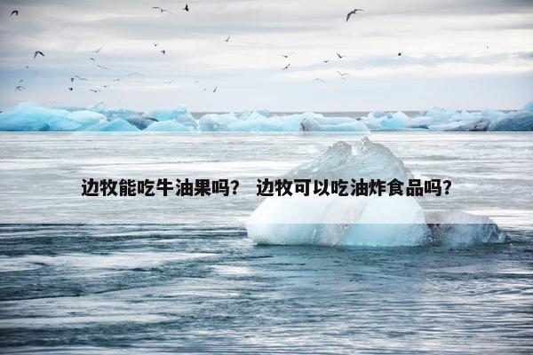 边牧能吃牛油果吗？ 边牧可以吃油炸食品吗？