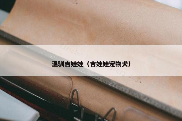 温驯吉娃娃（吉娃娃宠物犬）