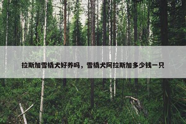 拉斯加雪橇犬好养吗，雪橇犬阿拉斯加多少钱一只