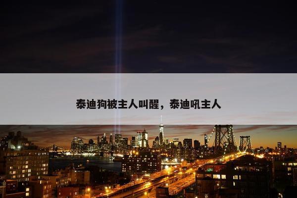 泰迪狗被主人叫醒，泰迪吼主人