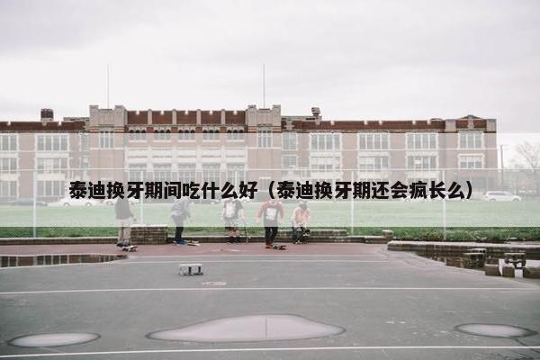 泰迪换牙期间吃什么好（泰迪换牙期还会疯长么）