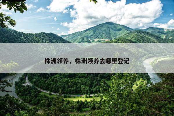 株洲领养，株洲领养去哪里登记