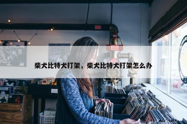 柴犬比特犬打架，柴犬比特犬打架怎么办