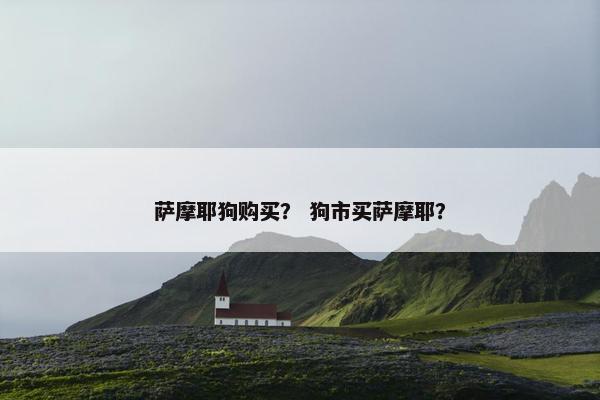 萨摩耶狗购买？ 狗市买萨摩耶？