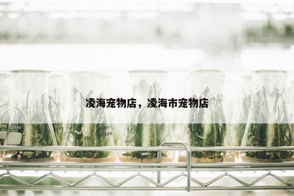 凌海宠物店，凌海市宠物店