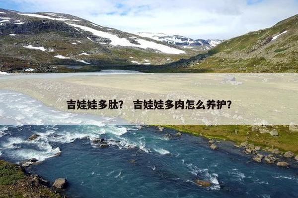 吉娃娃多肽？ 吉娃娃多肉怎么养护？