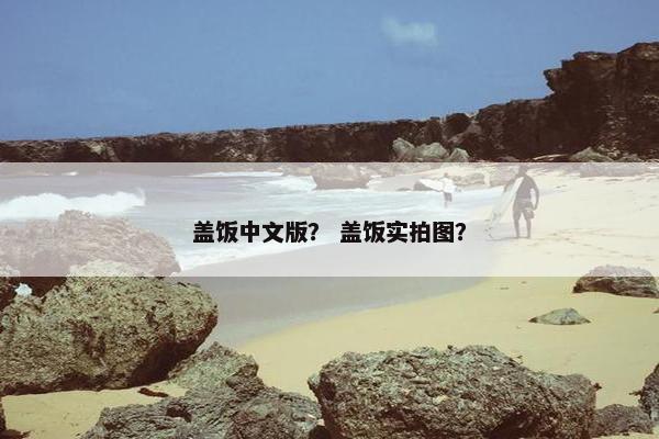 盖饭中文版？ 盖饭实拍图？