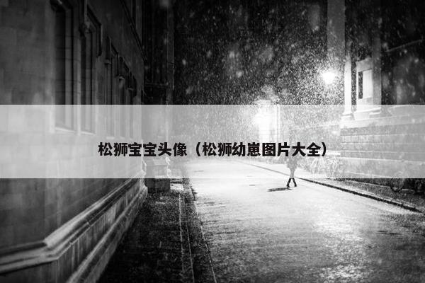 松狮宝宝头像（松狮幼崽图片大全）