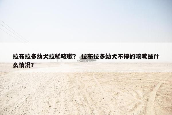 拉布拉多幼犬拉稀咳嗽？ 拉布拉多幼犬不停的咳嗽是什么情况？