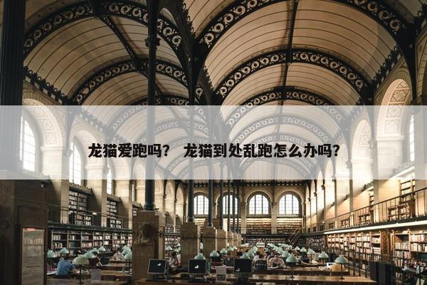 龙猫爱跑吗？ 龙猫到处乱跑怎么办吗？