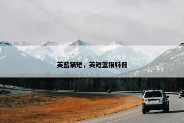 英蓝猫短，英短蓝猫科普