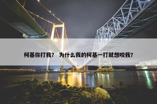 柯基你打我？ 为什么我的柯基一打就想咬我？