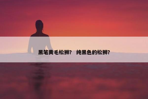 黑笔黄毛松狮？ 纯黑色的松狮？