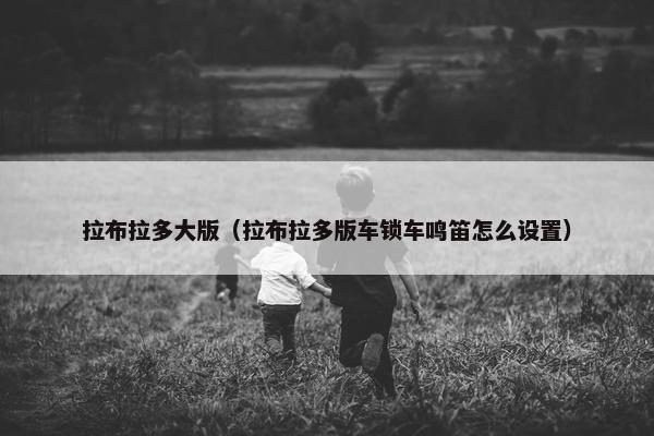拉布拉多大版（拉布拉多版车锁车鸣笛怎么设置）