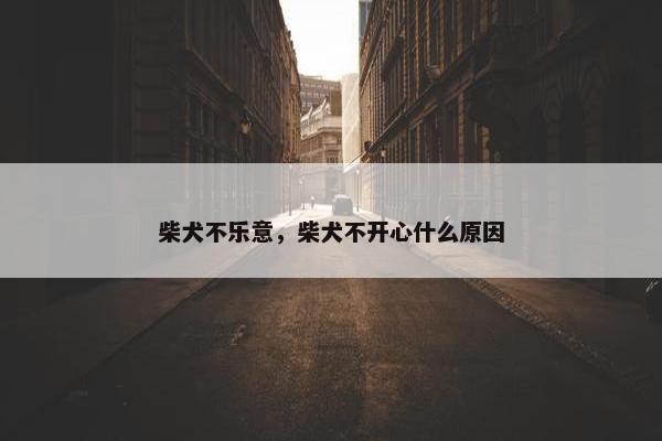 柴犬不乐意，柴犬不开心什么原因