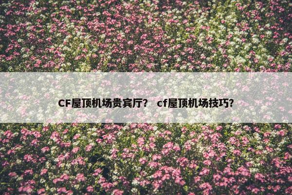 CF屋顶机场贵宾厅？ cf屋顶机场技巧？