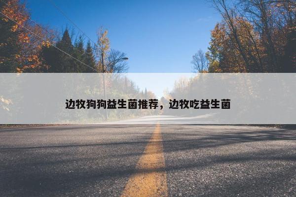 边牧狗狗益生菌推荐，边牧吃益生菌