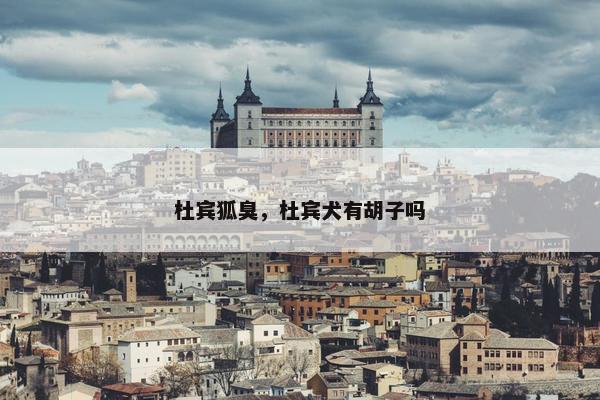 杜宾狐臭，杜宾犬有胡子吗