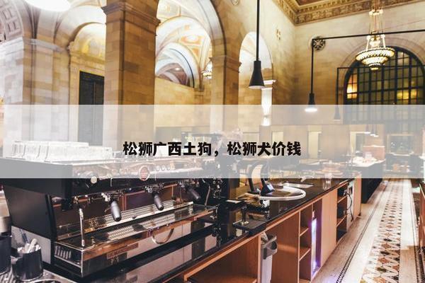 松狮广西土狗，松狮犬价钱