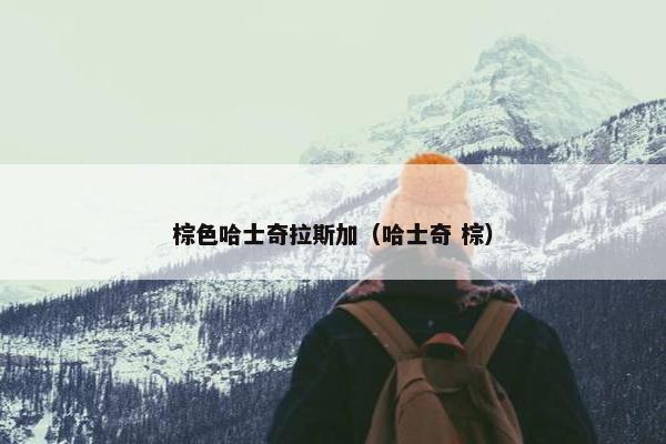 棕色哈士奇拉斯加（哈士奇 棕）