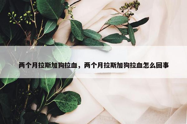 两个月拉斯加狗拉血，两个月拉斯加狗拉血怎么回事